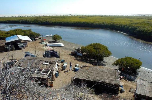 2 - 1 pesca cabo san lazaro