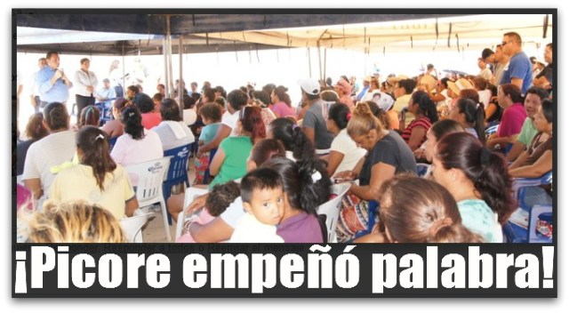 2 - 1 picore en la colonia miramar de loreto