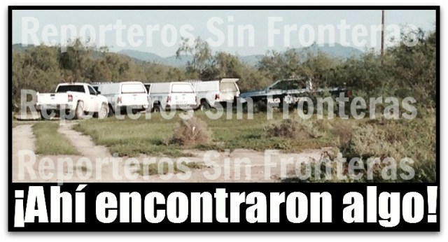 2 - 1 pino payas fraccionamiento altezza