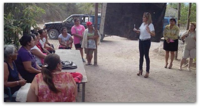 2 - 1 puentes vehiculares senador isaias 2