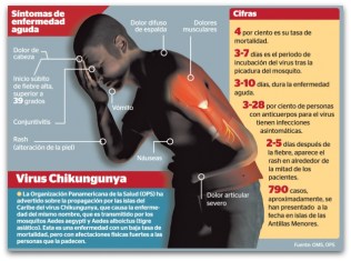 2 - 1 virus Chikungunya