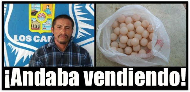 2 - 1 huevos de tortuga cabos san lucas