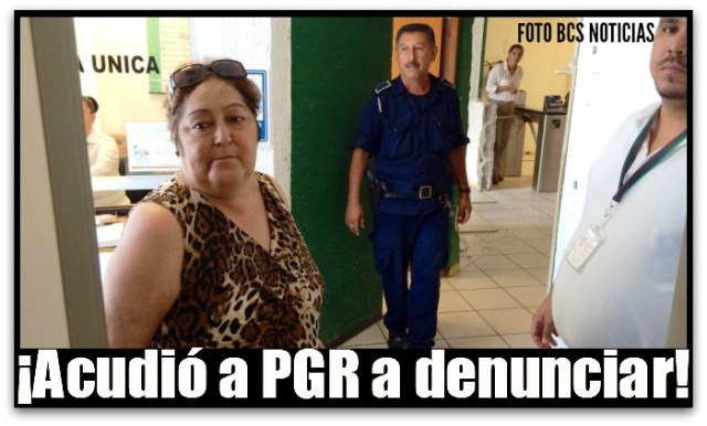 2 - 1 petra muñoz pulido miyeyes