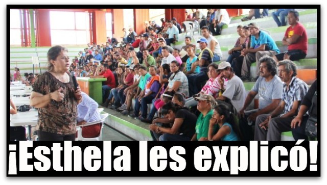 2 - 1 programa de empleo para la paz