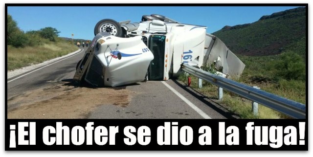 2 - 1 ACC LORETO INSURGENTES 2