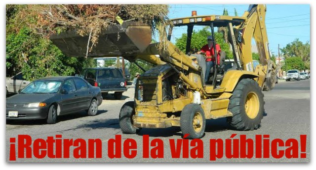 2 - 1 arboles huracan odile