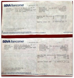 2 - 1 extranjeros pagaron en costco 002