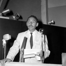 2 - 1 fede francisco king