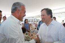 2 - 1 kuribreña meade con marcos