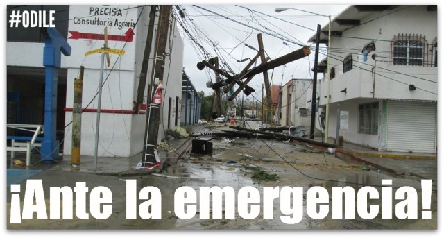 2 - 1 odile reconstruccion