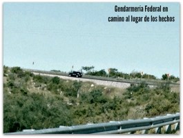 2 - 1 vehiculo de la gendarmeria