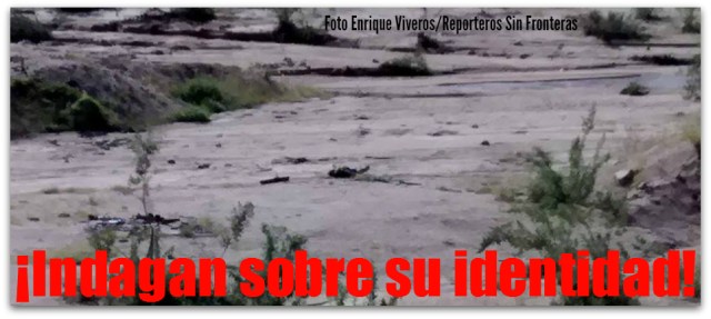 2 - 1 viveros identificacion del cuerpo