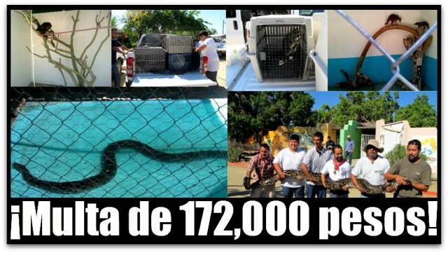 2 - 1 zoologico de santiago multa