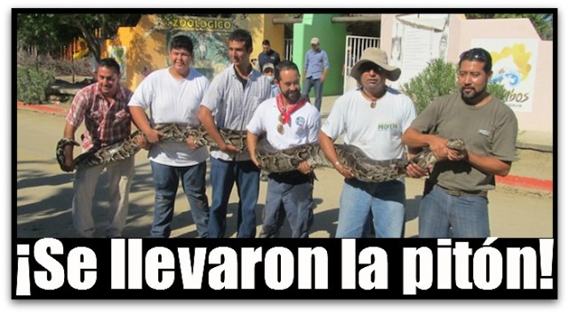 2 - 1 zoologico santiago