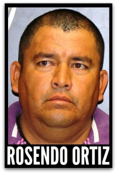 2 - 1 rosendo ortiz violacion