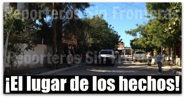 2 - 1 seido la paz bcs