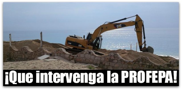 2 - 1 zona de anidacion 002