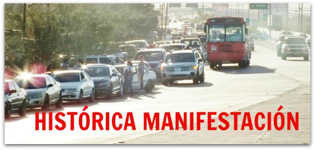 2 - 1 isaias gallos vehiculares 2