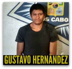 LADRON VISTA HERMOSA SAN JOSE DEL CABO