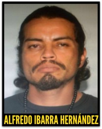 ALFREDO IBARRA HERNANDEZ