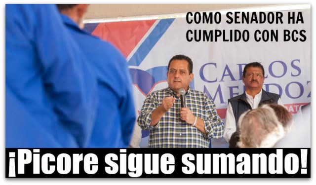 CARLOS MENDOZA DAVIS IVA BAJA CALIFORNIA SUR 0855