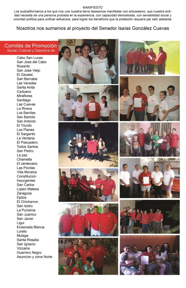 comités de promoción