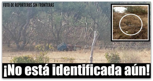 CUCHILLO MUERTA MUJER SAN JOSE DEL CABO