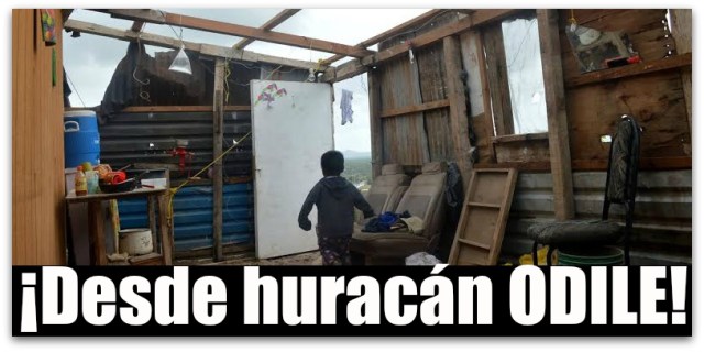 DAÑADAS HURACAN ODILE 42242