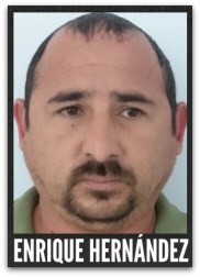 ENRIQUE HERNANDEZ CUERNO DE CHIVO CABO SAN LUCAS