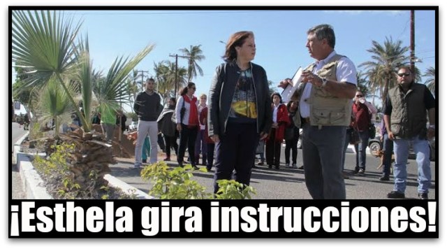 ESTHELA PONCE CAMELLONES LA PAZ BCS