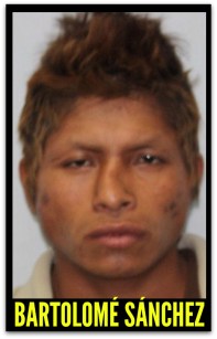 homicidio en todos santos