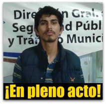 LADRON DE COBRE SAN JOSE DEL CABO