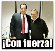 PARTIDO VERDE ROMMEL FIOL VA