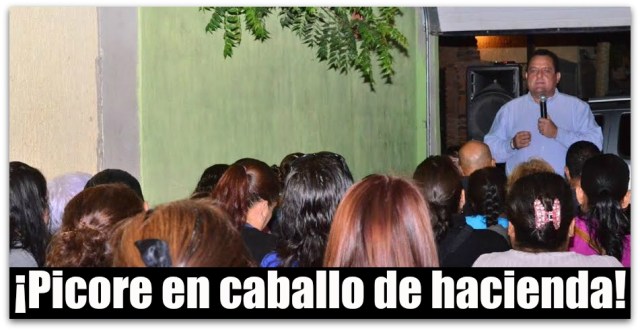 PICORE EN LA COLONIA MIRAMAR