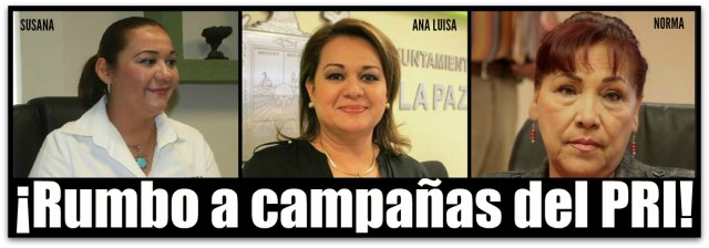 SOLICITAN LICENCIA LA PAZ 2015