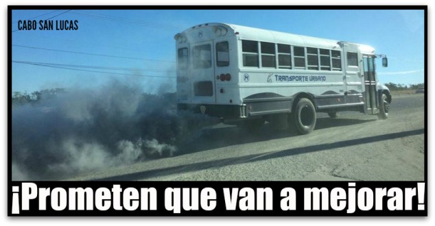 TRANSPORTE URBANO DE CABO SAN LUCAS