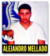 ALEJANDRO MELLADO PEDRIN