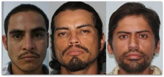 HOMICIDIO RAFAEL VIOSCA