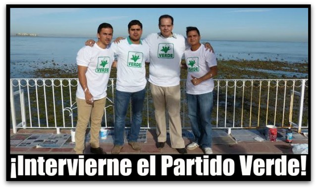 PARTIDO VERDE MALECON PACEÑO