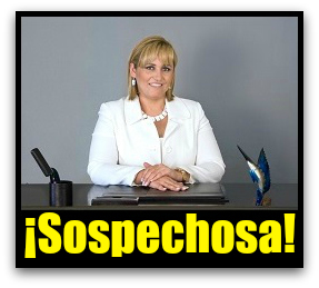 SUSANA BURGOIN AMEZQUITA ROBO AYUNTAMIENTO