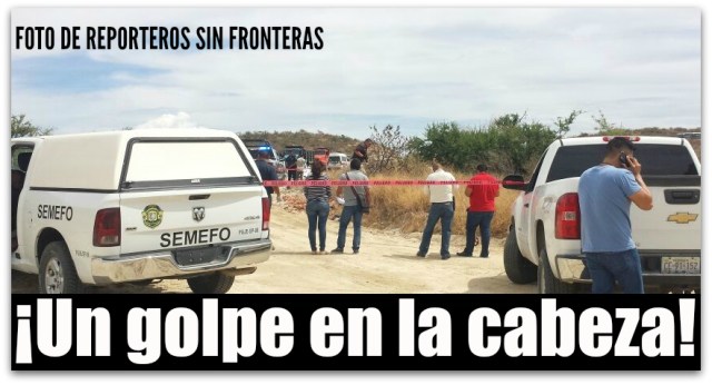 1 canadiense el tule bcs