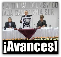 1 gallo tribunal informe 1