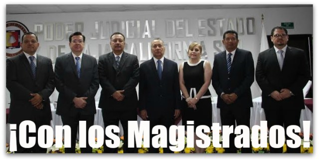 1 gallo tribunal informe 3