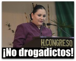 2 MARGARITA SALCIDO DIPUTADA