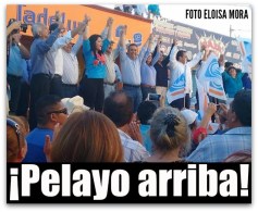 2 pelayo covarrubias