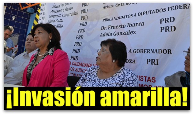 ALICIA URIBE PAN BCS