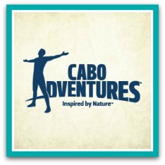 CABO ADVENTURES