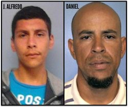 droga la paz bcs 003