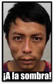 HOMICIDA DE HELENA PERALTA AMBROSIO