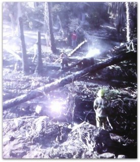 INCENDIO TODOS SANTOS